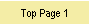 Top Page 1